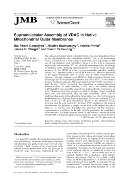 Supramolecular Assembly of VDAC in Native Mitochondrial