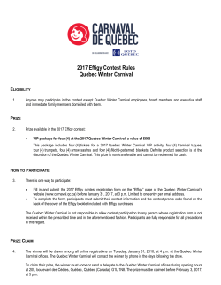 Consult the rules of the Carnival Effigy contest