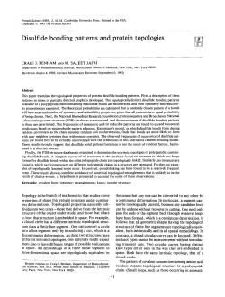 Disulfide bonding patterns and protein topologies