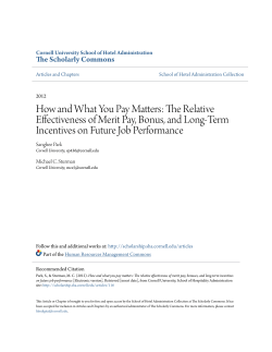 How and What You Pay Matters: The Relative Effectiveness of Merit