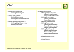 Abteilung Ascomycota (Schlauchpilze)