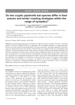 Do two cryptic pipistrelle bat species differ in their autumn and winter