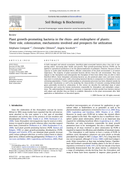 Plant growth-promoting bacteria in the rhizo