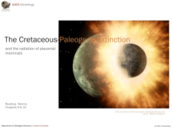 The Cretaceous-Paleogene Extinction