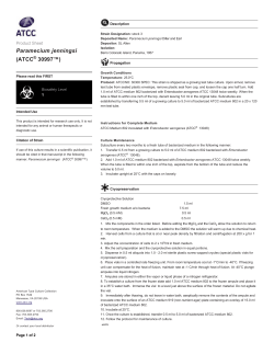Paramecium jenningsi (ATCC&reg; 30997&trade;)