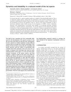Dynamics and bistability in a reduced model of the lac operon