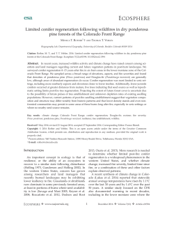 Limited conifer regeneration following wildfires in dry ponderosa