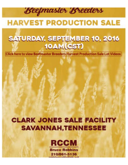 to view Beefmaster Breeders Harvest Production Sale Lot Videos