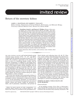 Return of the secretory kidney