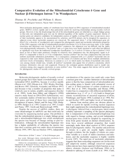 Comparative Evolution of the Mitochondrial Cytochrome b Gene and