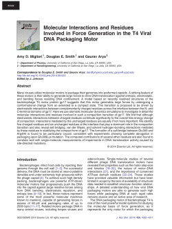 Molecular Interactions and Residues Involved in Force Generation