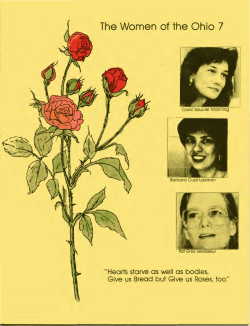 The Women of the Ohio 7