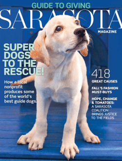 Super DogS to the reScue!