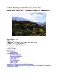Multi-spectral Imaging of La Casa de las Golondrinas Rock Paintings