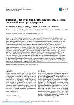 Expression of the orexin system in the porcine uterus, conceptus