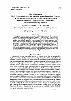 The Influence of NaCl Concentration of the Medium