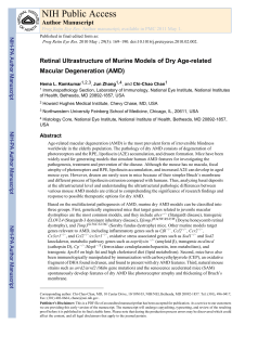 AMD Mouse model 2010 - Jianhai Du Lab @ West Virginia University