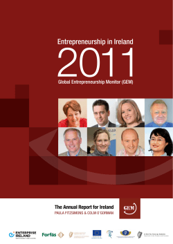Entrepreneurship in Ireland 2011