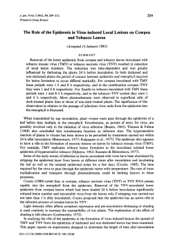 The Role of the Epidermis in Virus