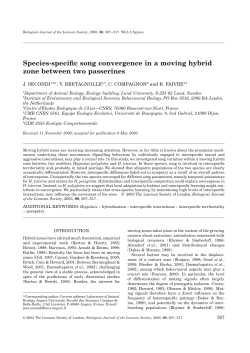 Species-specific song convergence in a moving hybrid zone