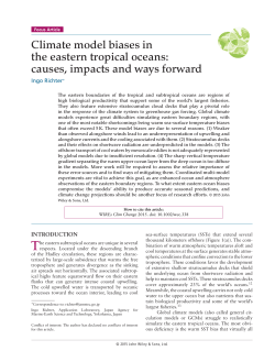 Climate model biases in the eastern tropical oceans: causes