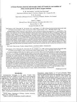 A freeze-fracture electron microscopic study of