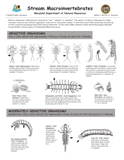 Maryland DNR Stream Macroinvertebrates