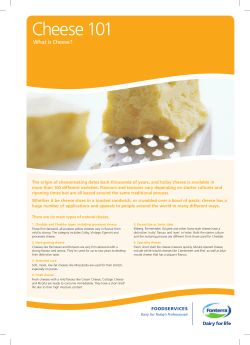 Cheese 101 - Fonterra Foodservices