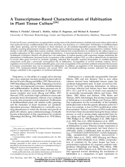 A Transcriptome-Based Characterization of