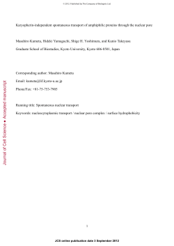 Karyopherin-independent spontaneous transport of amphiphilic