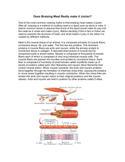 Does Braising Meat Really make it Juicier?