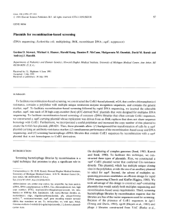 Plasmids for recombination-based screening