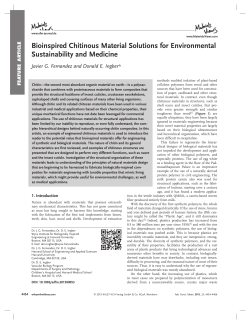 Bioinspired Chitinous Material Solutions for Environmental