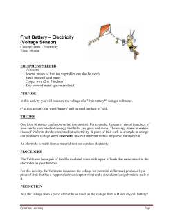 Fruit Battery &ndash; Electricity (Voltage Sensor)