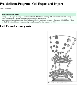 Cell Export and Import - CellBiology