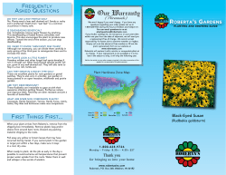 Black-Eyed Susan FREQUENTLY ASKED QUESTIONS