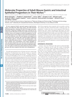 Molecular Properties of Adult Mouse Gastric and Intestinal Epithelial