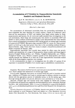 Accumulation of [l4CC]Aldrin by Organochlorine