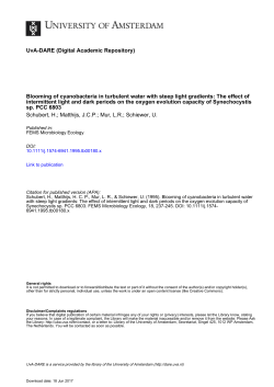 Blooming of cyanobacteria in turbulent water with steep - UvA-DARE