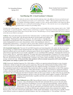 Seed Buying 101: A Seed Gardener`s Glossary