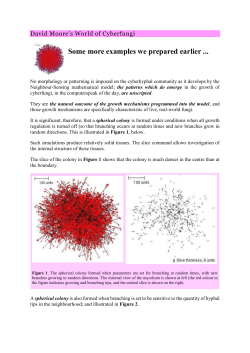 fetch a PDF version - David Moore`s World of Fungi: where mycology