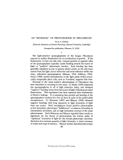 "REVERSAL" OF PHOTOTROPISM IN