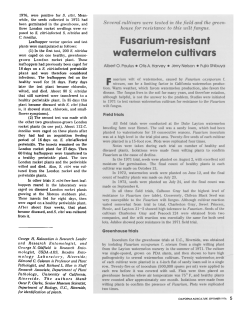Fusarium-resistant watermelon cultivars