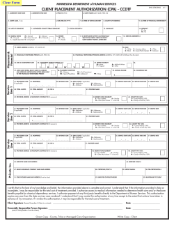 Client placement assessment form