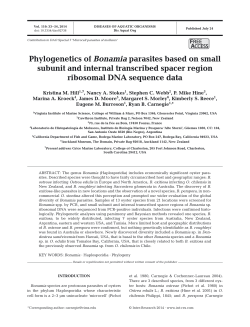Phylogenetics of Bonamia parasites based on small subunit and