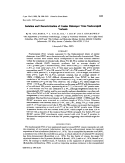 Isolation and Characterization of Canine Distemper Virus