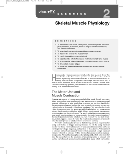 Lab 06 - Skeletal Muscle