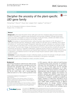 Decipher the ancestry of the plant