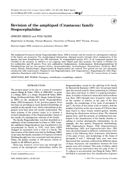 Revision of the amphipod (Crustacea) family