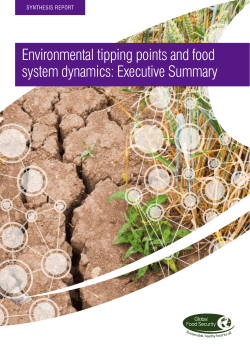 Environmental tipping points and food system dynamics: Executive